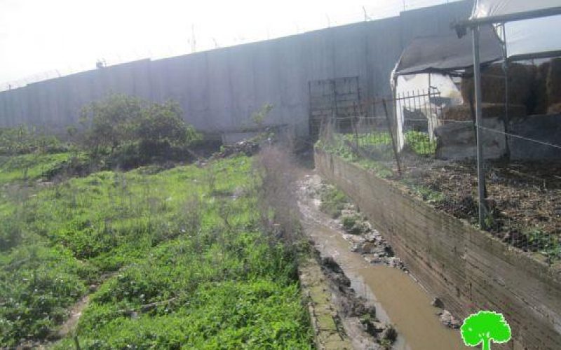 The Segregation Wall Causes floods in Qalqiliyya
