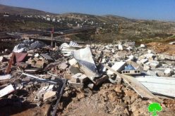 The Israeli Municipality in the Occupied City Demolish a Residence in Beit Hanina