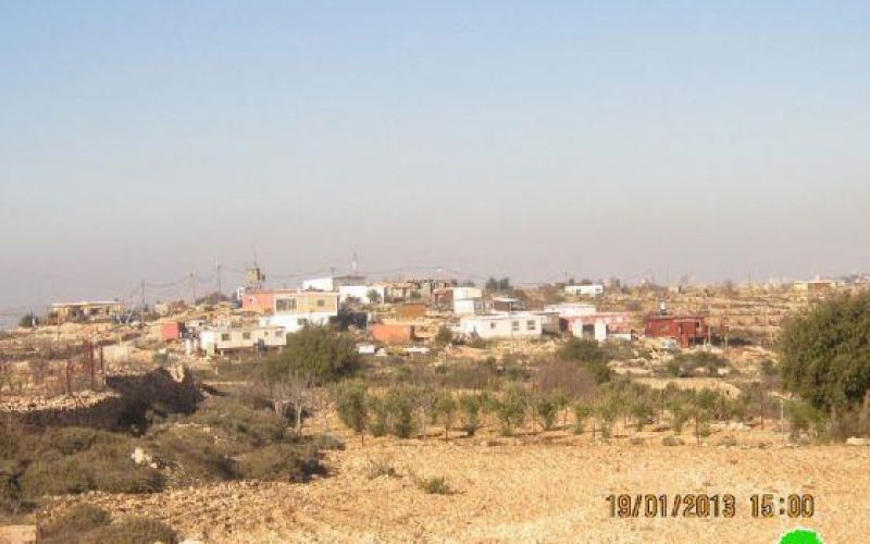 توسيع إحدى البؤر الاستعمارية … واقتلاع المزيد من اشتال الزيتون في موقع عين قسيس في بلدة الخضر