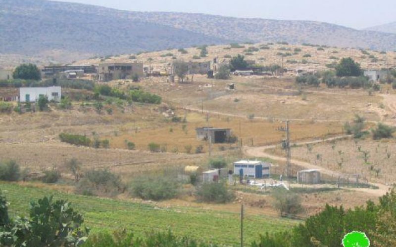 الاحتلال الإسرائيلي يصادر رأسين من الأبقار في منطقة فروش بيت دجن