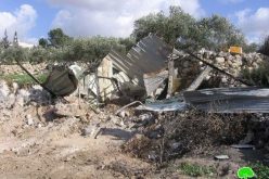 Demolishing Structures in Beit Awwa