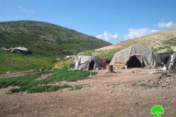 Eviction orders for 16 Bedouin families in Tubas