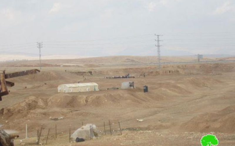 Harming Livestock and Pastures as a New Way to Harm the Palestinian Existence in Al-Ghors