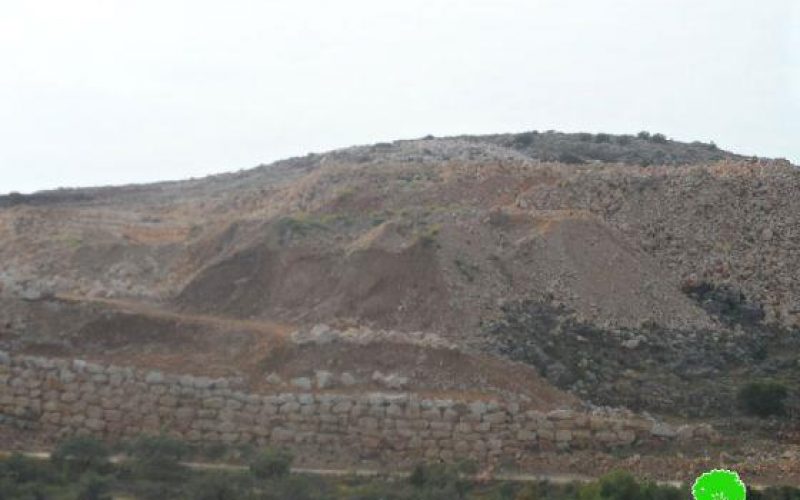 مواصلة سرقة الآثار التاريخية في خربة دير سمعان في بلدة كفر الديك, محافظة سلفيت