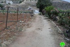الاحتلال يخطر بتجريف طريق مؤدي لمنزل مواطن شرق الخليل
