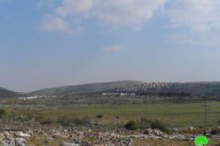 A New Colonial Outpost near Ramallah
