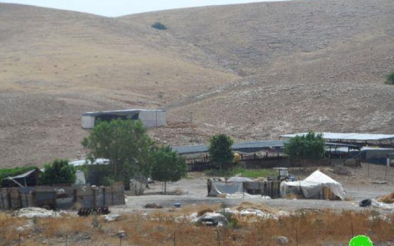 إخطار 5 عائلات بدوية بوقف البناء لمنشآتهم السكنية والزراعية / محافظة طوباس