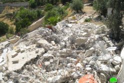 جرافات الاحتلال تهدم مسكناً لعائلة القاق في جبل المكبر / القدس المحتلة