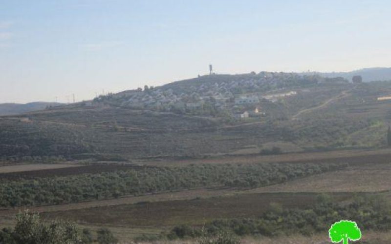 Israeli Confiscation order for 877 dunums of Palestinian lands in Awarta, Beit Furik and Rujib villages – Nablus