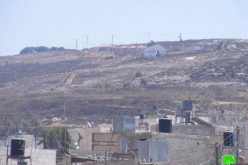 مستعمرو “جلعاد زوهر” يحرقون 5 دونمات من أراض قرية صرة /محافظة نابلس