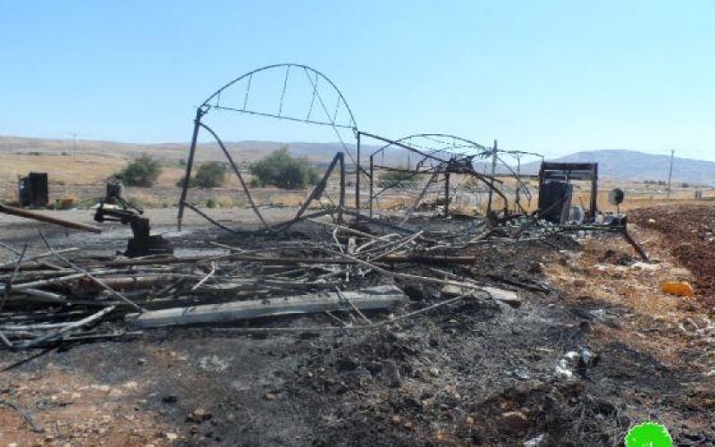 Fanatic Colonizers Burn a Farm in Tobas