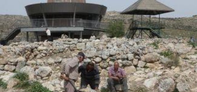 Kherbit Silon witnesses Israeli attempts at Judaizing Palestinian history & heritage