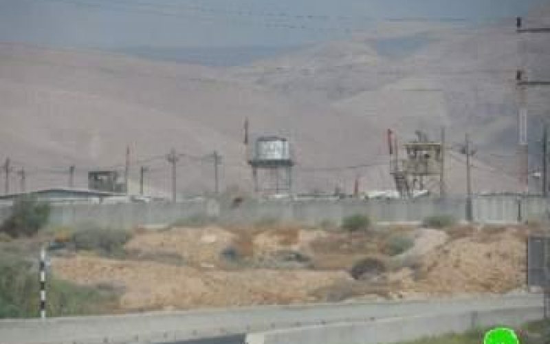 الاحتلال الإسرائيلي يفرض قيوداً على استعمال المراعي لتجمع عرب الرشايدة في منطقة النويعمة / محافظة أريحا