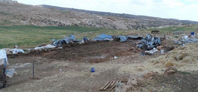 The Israeli occupation demolishes residences and sheds in Khallet Al Karsana