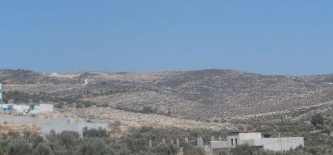 Burning 90 dunums of land in Nablus