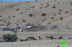 إخطار 9 عائلات للرحيل في واد المالح بالأغوار الشمالية / محافظة طوباس
