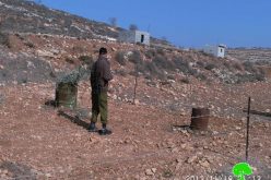 Damaging 27 olive trees and destroying a agricultural room in Nablus