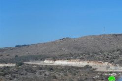 A notification of 78.3 dunums takeover for the favor of the apartheid wall in Tulkarm