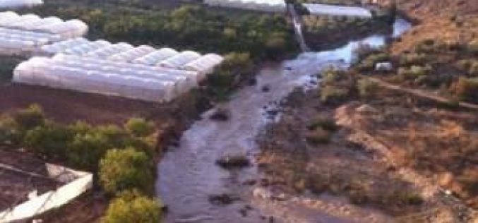 انسداد المصارف المائية على طول الجدار الفاصل يؤدي إلى خسائر فادحة في القطاع الزراعي في محافظة قلقيلية