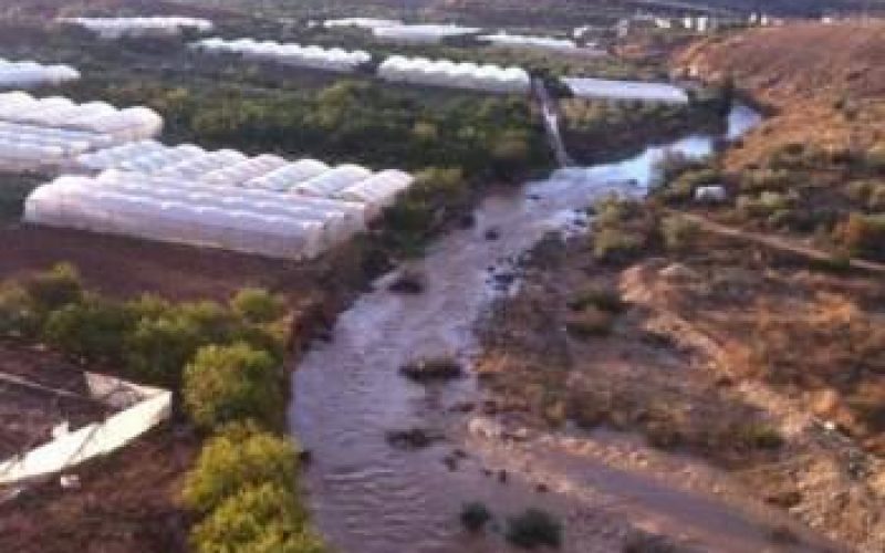 انسداد المصارف المائية على طول الجدار الفاصل يؤدي إلى خسائر فادحة في القطاع الزراعي في محافظة قلقيلية