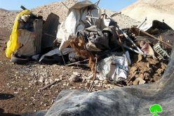 Razing a barn in Al ‘Auja