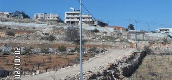 A stop work order served on electricity poles in Bethlehem