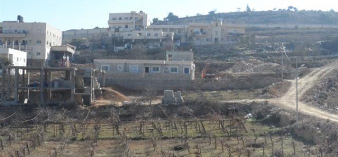 إخطار بوقف العمل و البناء لمنزل في قرية الخضر / محافظة بيت لحم