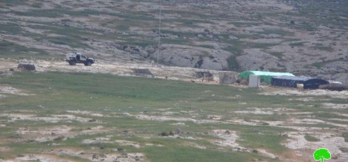 Attacks on sheep herds in Yatta town Hebron governorate