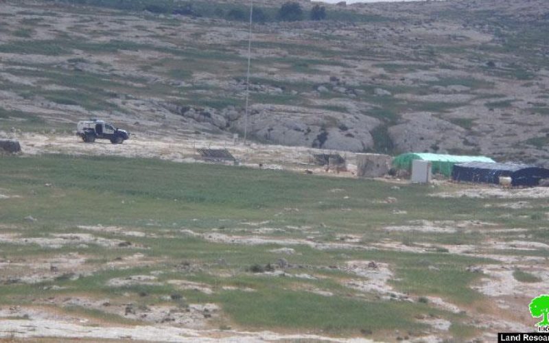 Attacks on sheep herds in Yatta town Hebron governorate