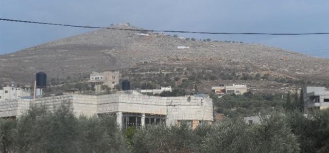 Damaging 34 olive trees in Ainabos