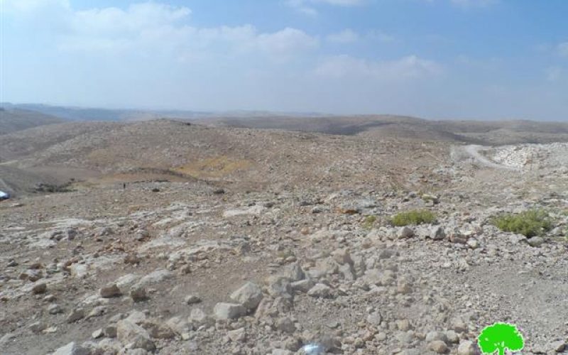 Shepherds denied access to pastures by the occupation in Yatta town –Hebron governorate