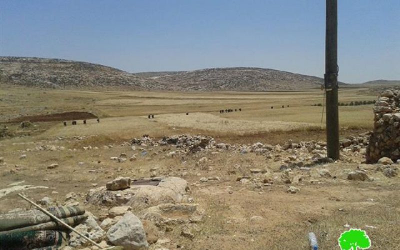 الاحتلال  يحول الأراضي الزراعية إلى منطقة تدريب عسكرية في خربة الطويل / محافظة نابلس