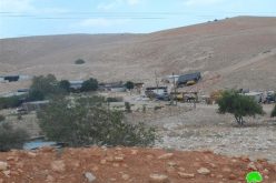 Serving families stop-work orders in Khirbet ar-Ras al Ahmar – Tubas Governorate