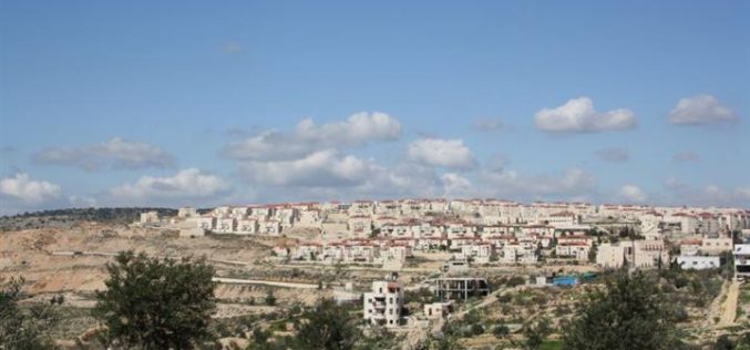 “In a Blatant Defiance for the International Community”, Israel approved a new colonial plan for 3280 Housing Units