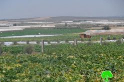 The Israeli occupation confiscates eight tractors