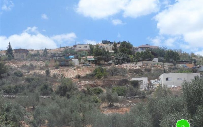 مستعمرو مستعمرة ” معاليه إسرائيل” يقطعون عدد من الأشجار في بلدة  قراوة بني حسان