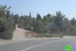 مخطط إسرائيلي لتهويد أحراش قرية أم صفا لصالح توسعة مستعمرة حلميش