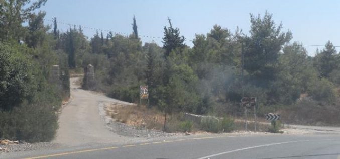 مخطط إسرائيلي لتهويد أحراش قرية أم صفا لصالح توسعة مستعمرة حلميش