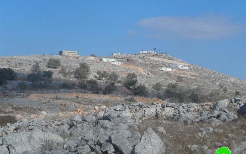 Pastures and olive trees burned down in areas classified B in Bourin village