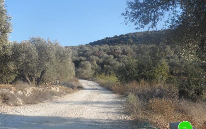 Notifying a residence and an agricultural road with stop work in Salfit