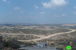 After dismantling a segment of the apartheid wall, the Israeli occupation denies farmer access to his isolated lands behind the wall