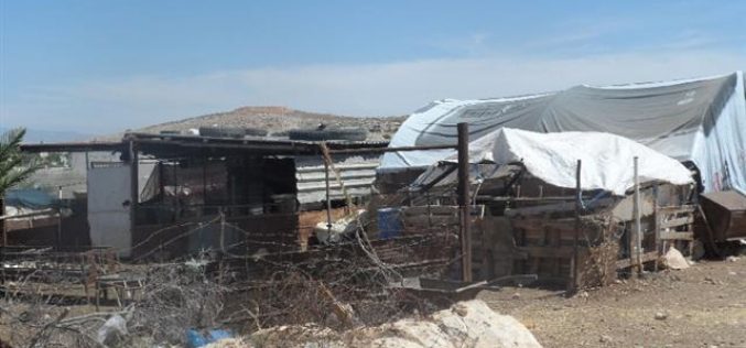 إخطارات بوقف البناء لمنشآت سكنية وزراعية في منطقة واد المالح