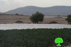 The Israeli occupation confiscates agricultural equipments from Sahel al- Bikaia