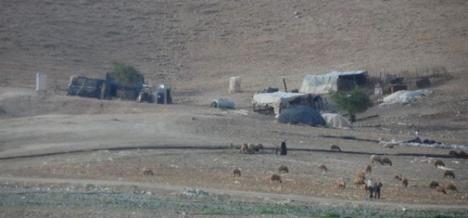 Under the pretext of military training, “Expel and displacement” affects the Bedouin communities in the northern Ghoor