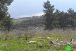 الاحتلال  الإسرائيلي يخطر بوقف البناء لمنتزه في بلدة قفين