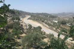 الذريعة الامنية تهدد أراضي منطقة وادي كريمزان في مدينة بيت جالا