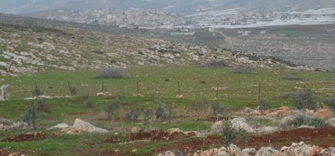 Eviction order on tens of dunums in Khirbet Um al-Kbaish