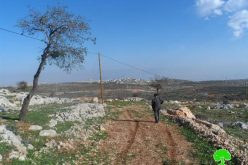 Demolition of  Retaining Walls in Qusra village, Nablus Governorate