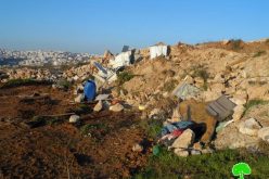 الاحتلال يجرف قطعة ارض ويقتلع أشجار في جبل أبو سرور بالخليل