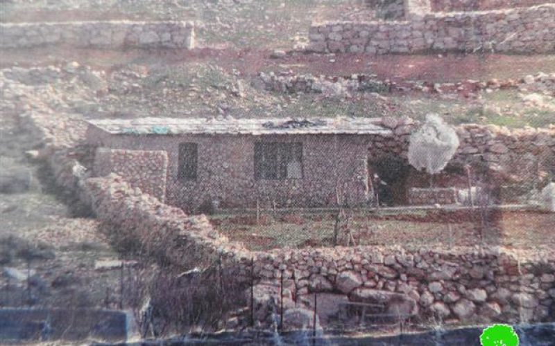 The Israeli occupation ravages a land and uproots trees in Hebron